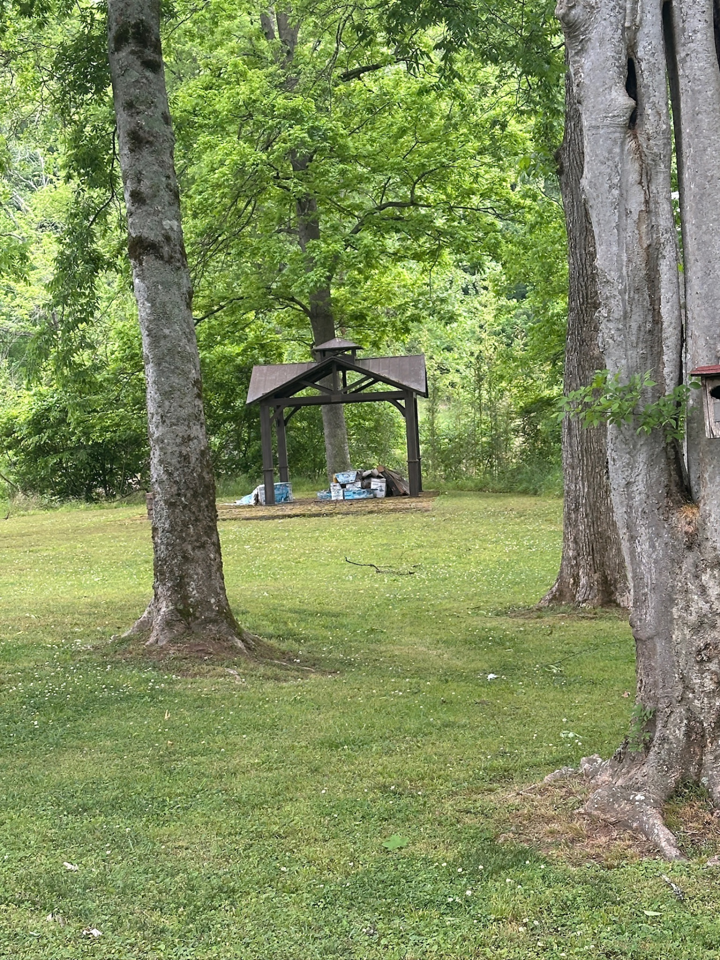 Shaded pavilion in the grassy yard near the water