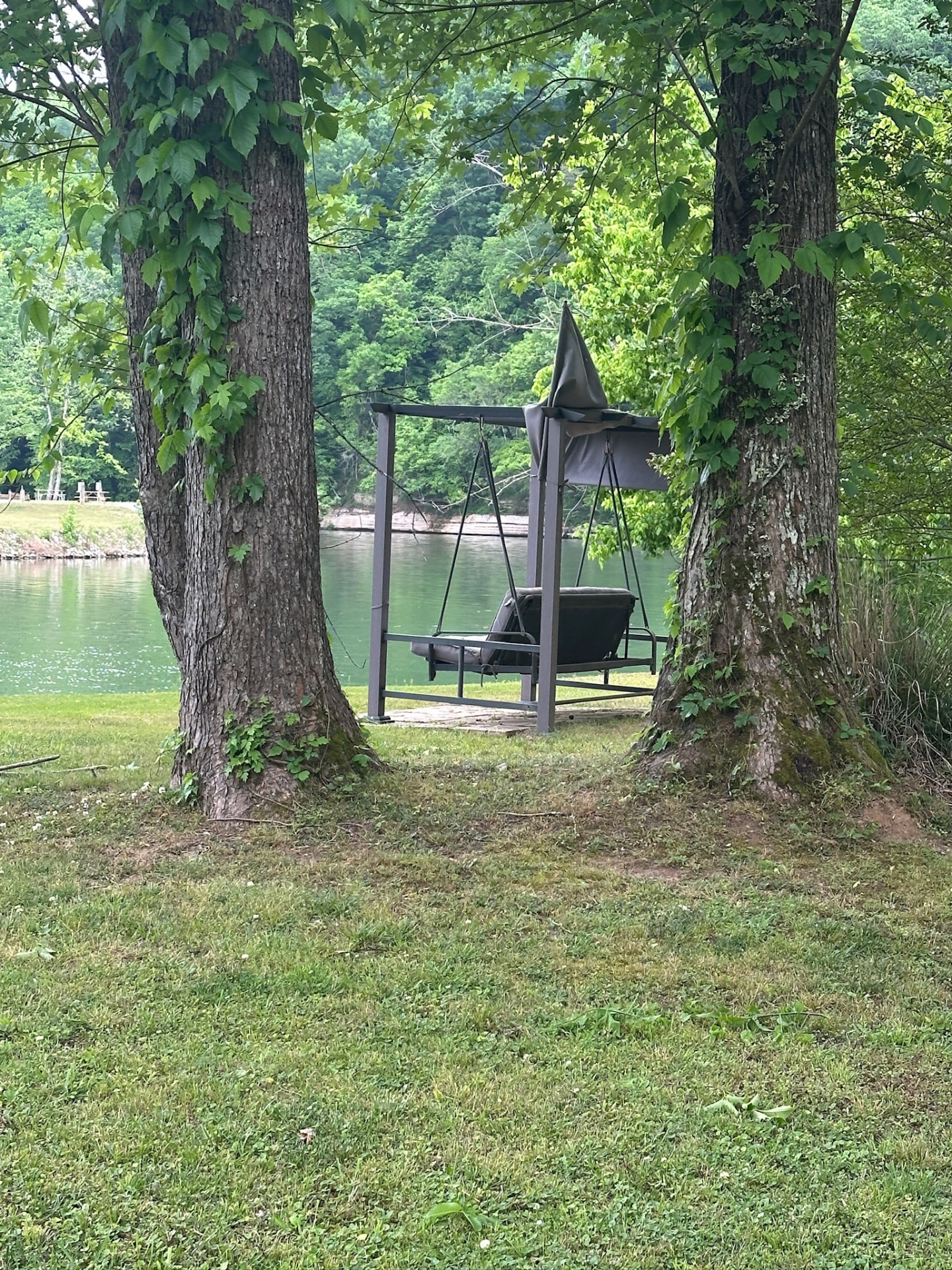 Porch swing facing the water between two trees
